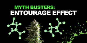 MYTH BUSTERS: IS THE ENTOURAGE EFFECT REAL?