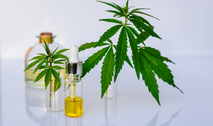 HOW TO TAILOR MAKE CANNABIS TINCTURES TO GET EXACTLY WHAT YOU WANT