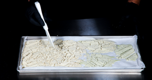 FREEZE DRYER: HOW TO CHOOSE THE RIGHT MACHINE FOR YOUR SITUATION