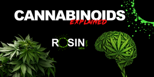 WHAT ARE CANNABINOIDS?