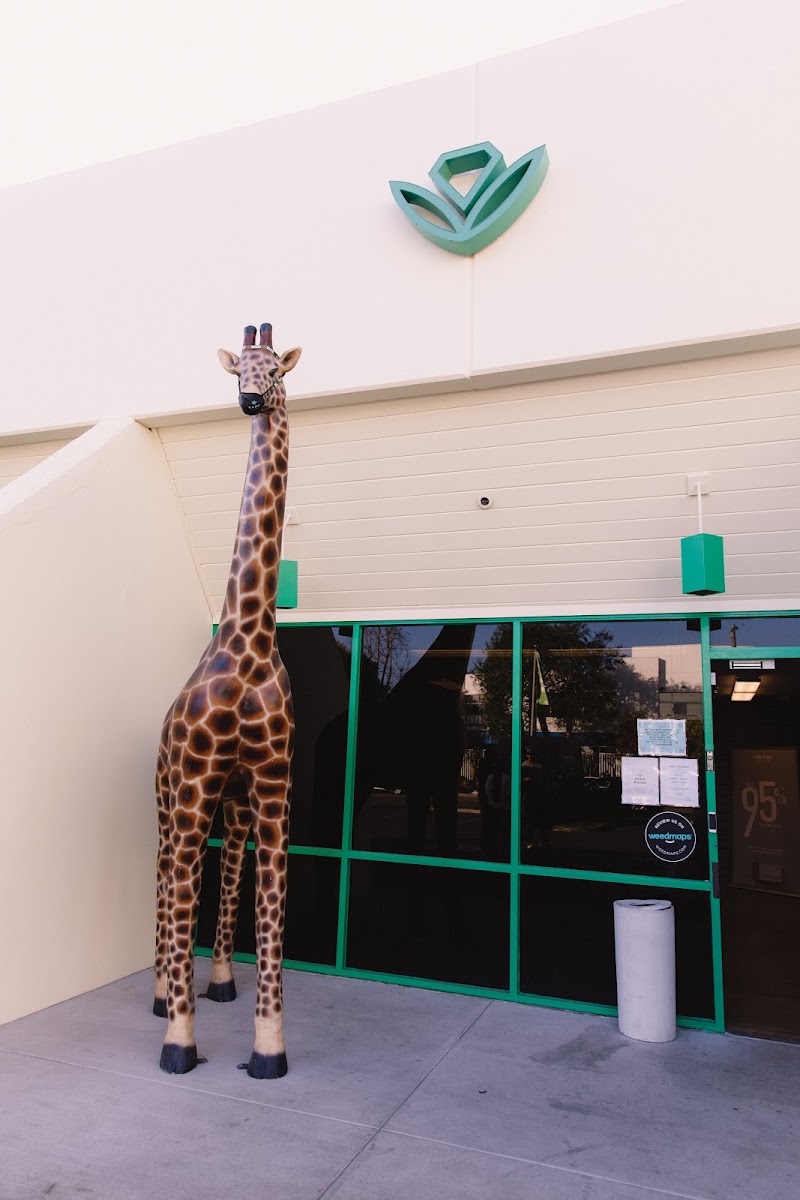 Jade Room Santa Ana, a licensed Santa Ana, CA dispensary carrying Rosin Tech Labs
