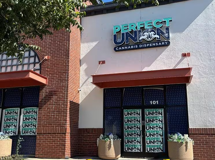 Perfect Union woodland