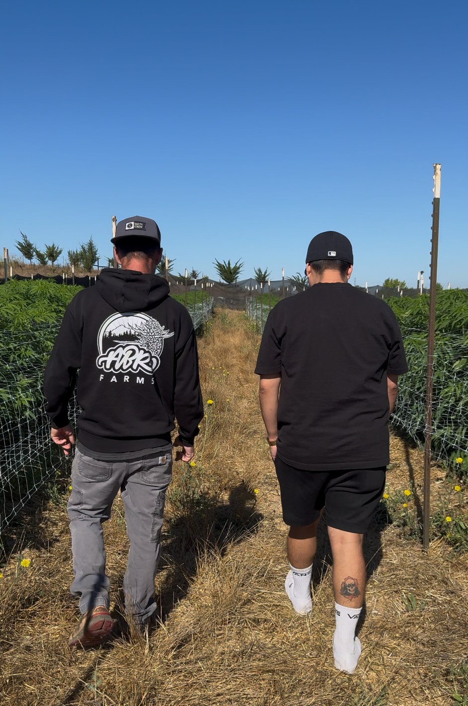 Walking the rows at a partner farm