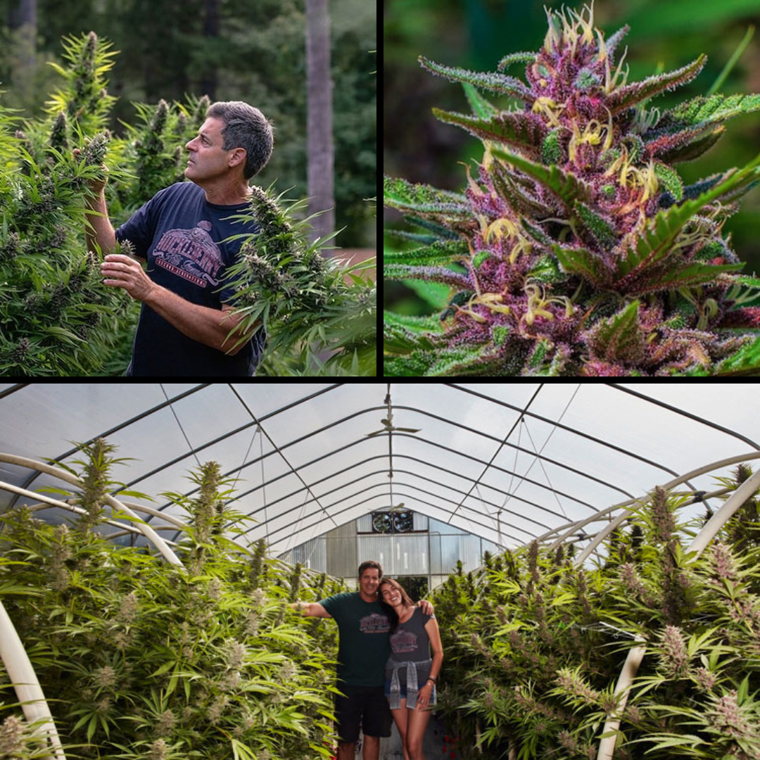 Huckleberry Hill Farms